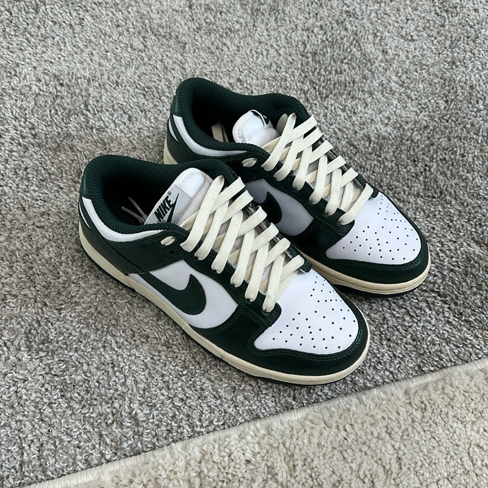 Brand New Nike Dunks